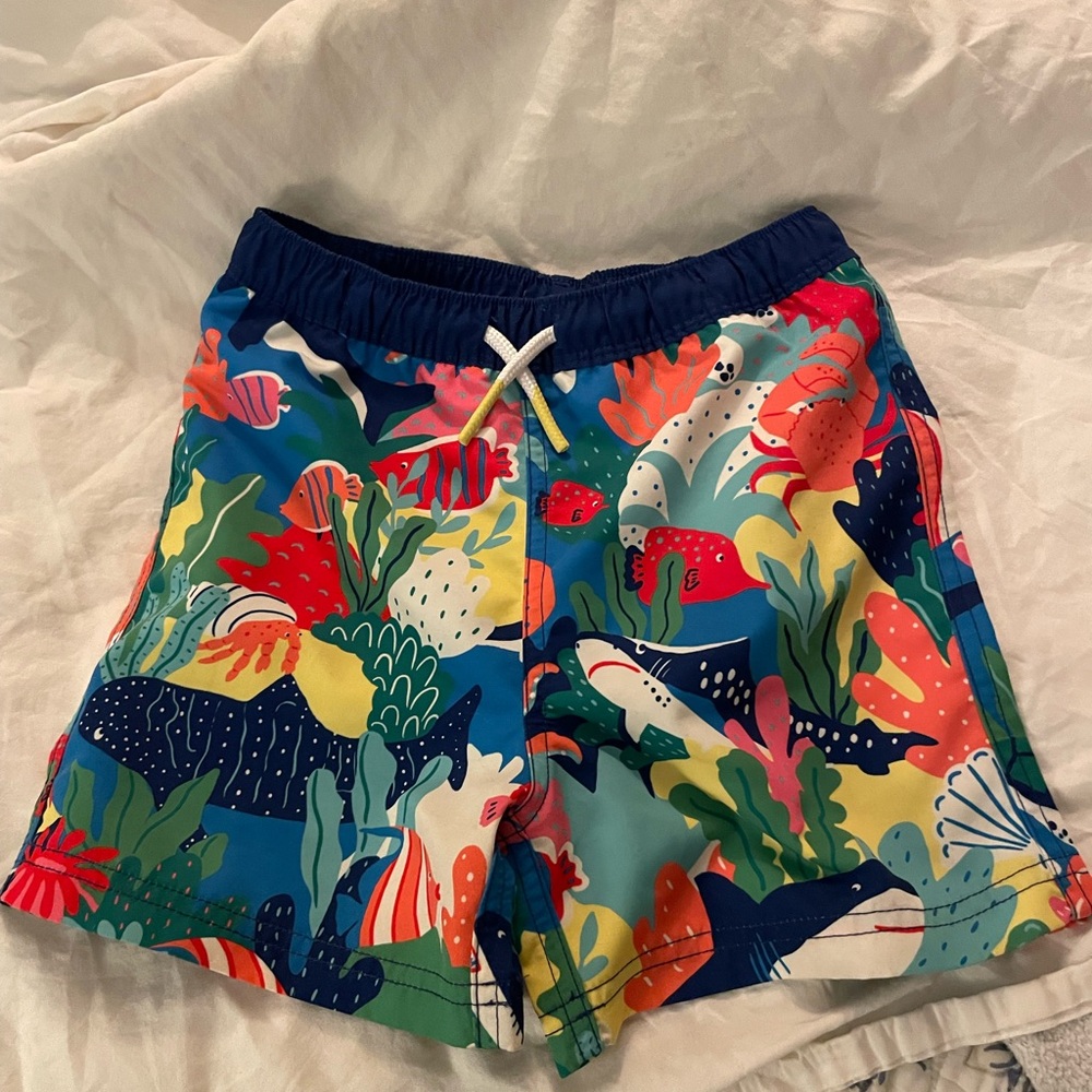 Colorful Kids Swim Shorts